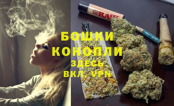 спайс Новодвинск
