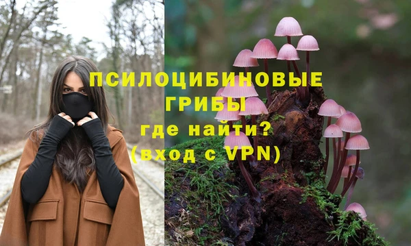 твердый Нефтегорск