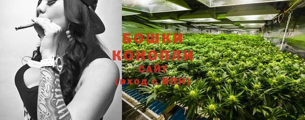 индика Новокубанск